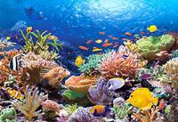 Пазл детский "Коралловый риф " 1000 элементов