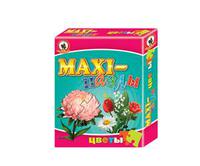MAXI пазлы. Цветы