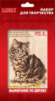 Набор детский для выжигания "Котенок" (в рамке)