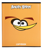 Тетрадь общая "Angry birds" (48 л., А5, кл., 5 видов, мелованная обложка, лак)