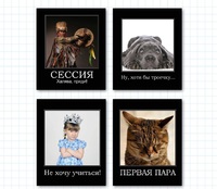 Тетрадь общая "Демотиватор" (48 л., А5, кл., 4 вида)