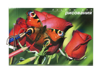 Альбом для рисования "Бабочки" (40 л., А4, на сутаже)